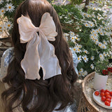 🔥 (Buy 1 Get 2) Silk Ribbon Hair Clip