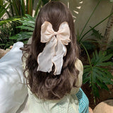 🔥 (Buy 1 Get 2) Silk Ribbon Hair Clip